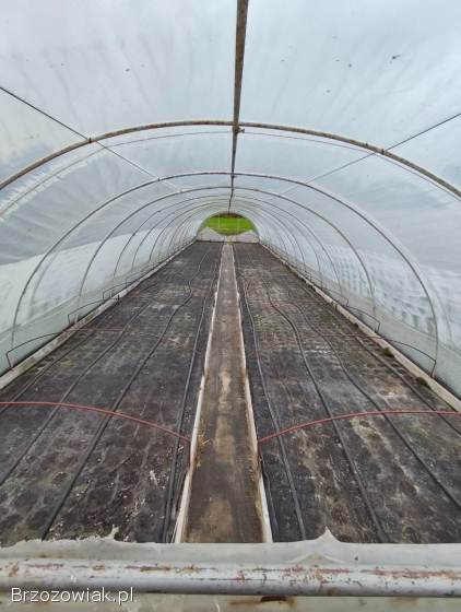 TUNEL FOLIOWY 16x4