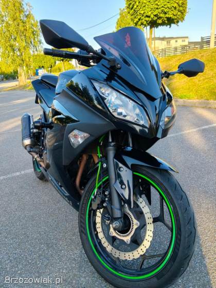 Kawasaki Ninja 300 ABS 2013