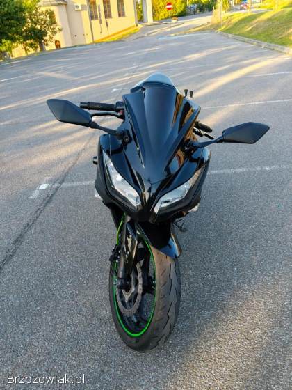 Kawasaki Ninja 300 ABS 2013