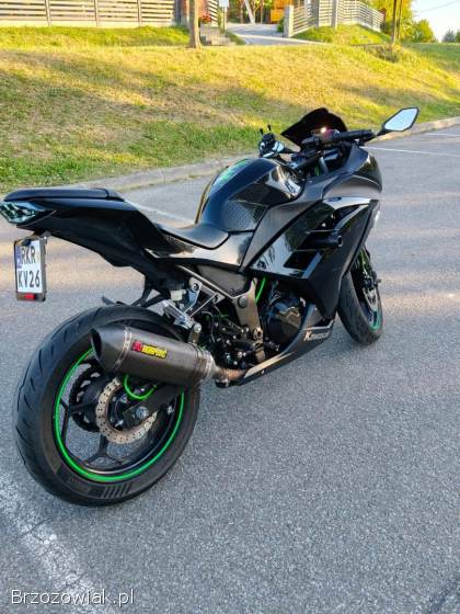 Kawasaki Ninja 300 ABS 2013