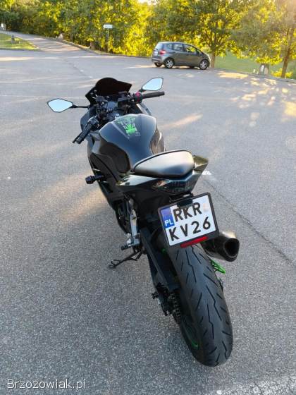 Kawasaki Ninja 300 ABS 2013