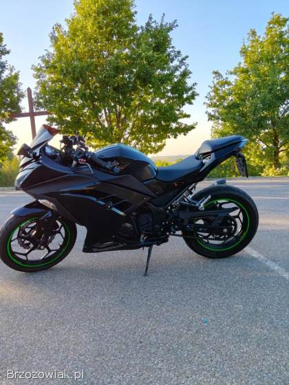 Kawasaki Ninja 300 ABS 2013