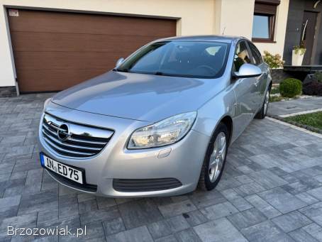 Opel Insignia 1.  6 Benzyna  2010