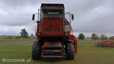 Bizon Rekord Z058