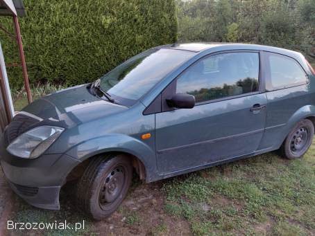 Ford Fiesta 2003