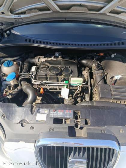 Seat Altea Xl 2008