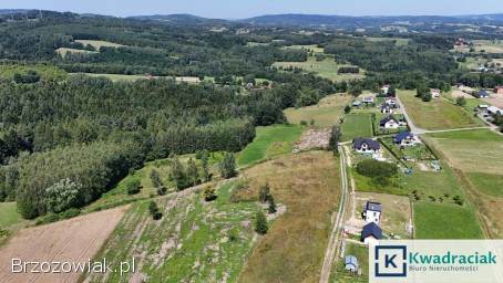 Widokowe działki budowlane w Orzechówce.