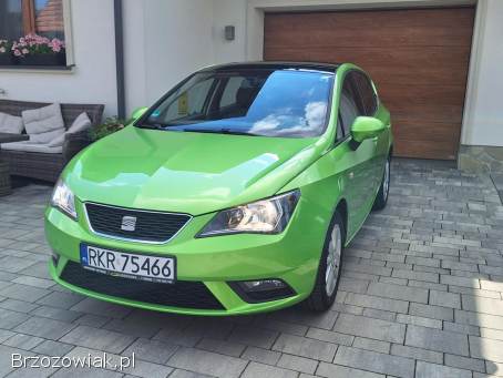 Seat Ibiza 2013