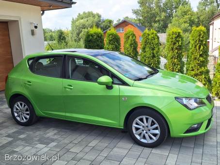 Seat Ibiza 2013