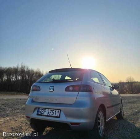 Seat Ibiza 6L 2007