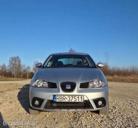 Seat Ibiza 6L 2007