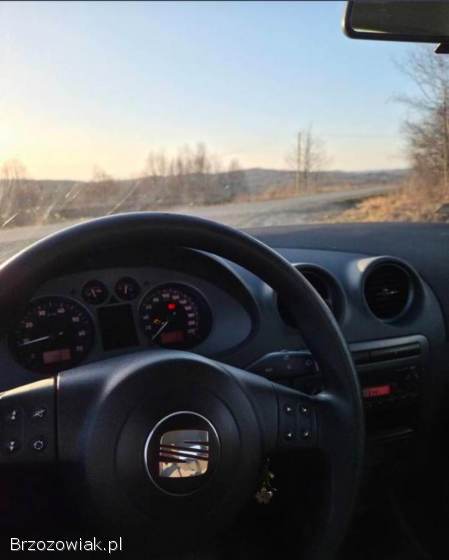Seat Ibiza 6L 2007