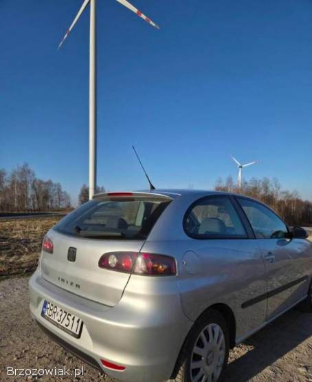 Seat Ibiza 6L 2007