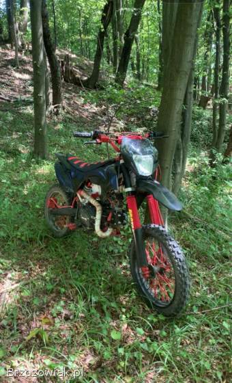 Barton Nxt 125 2023