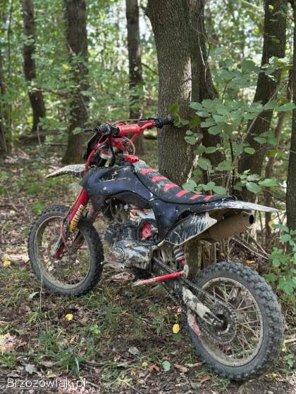 Barton Nxt 125 2023