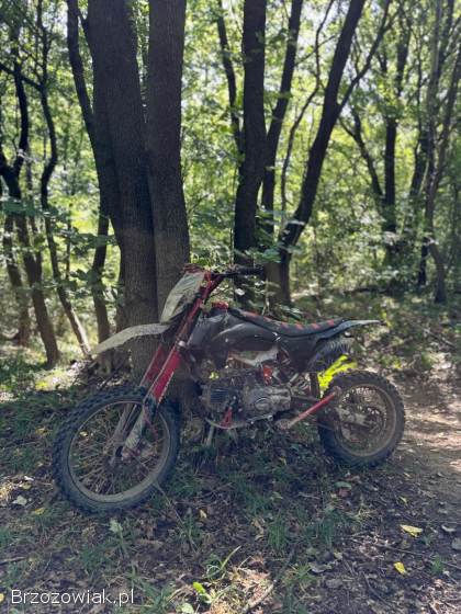 Barton Nxt 125 2023