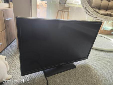 SPRAWNIE DZIAŁAJĄCY telewizor Thomson