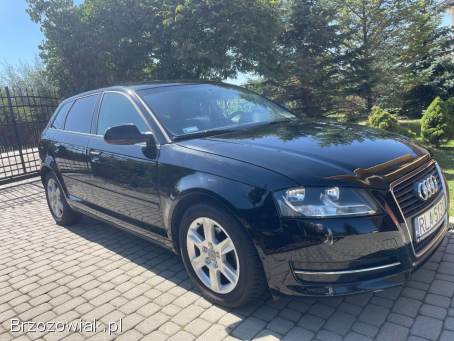 Audi A3 8P 2010