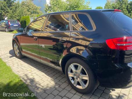 Audi A3 8P 2010