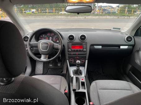 Audi A3 8P 2010