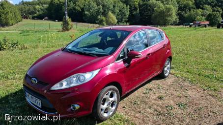 Ford Fiesta Mk7 2009
