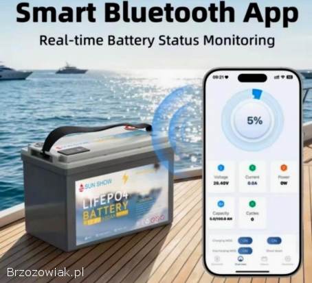 Bateria akumulator LiFePO4 SANDISOLAR 12V 100Ah z Bluetooth i wyświetlaczem