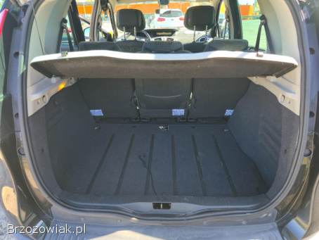Renault Scenic 2009
