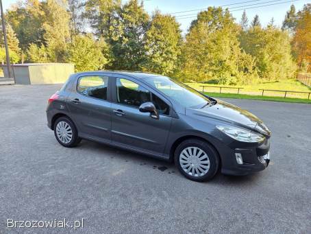 Peugeot 308 PREMIUM + 2009