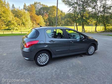 Peugeot 308 PREMIUM + 2009