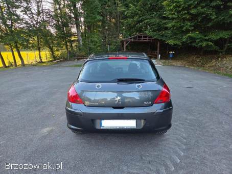 Peugeot 308 PREMIUM + 2009