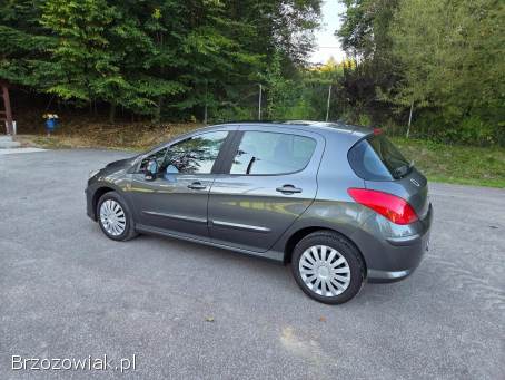 Peugeot 308 PREMIUM + 2009