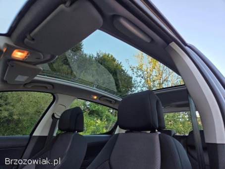 Peugeot 308 PREMIUM + 2009