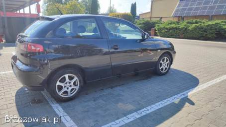 Seat Ibiza 2002