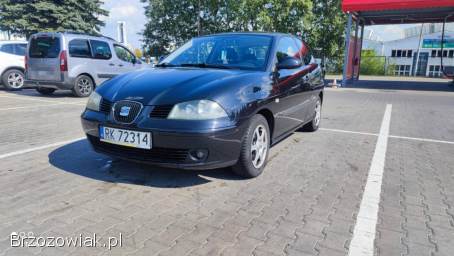 Seat Ibiza 2002