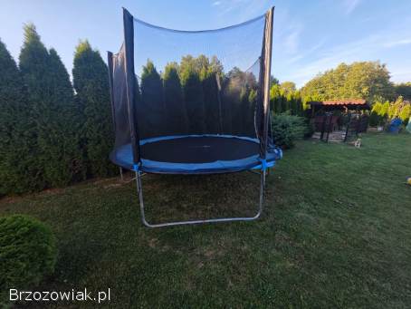 Trampolina