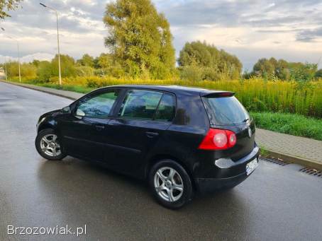 Volkswagen Golf 2004