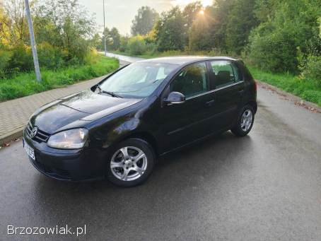 Volkswagen Golf 2004