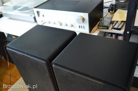Idealne CANTON Fonum 50 Krystaliczne Analogowe Zrównoważone Brzmienie Wysyłka