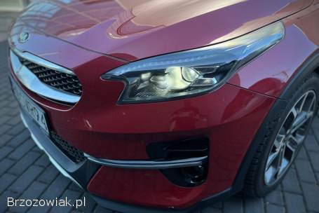 Kia Cee'd XCeed  2021