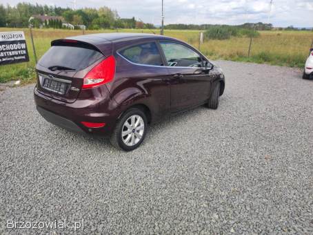 Ford Fiesta 1.  6 Benzyna  2009