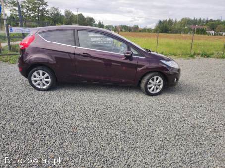 Ford Fiesta 1.  6 Benzyna  2009
