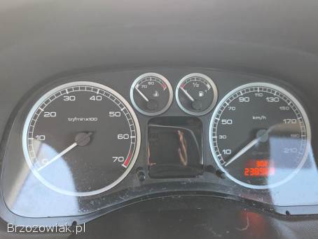 Peugeot 307 2003