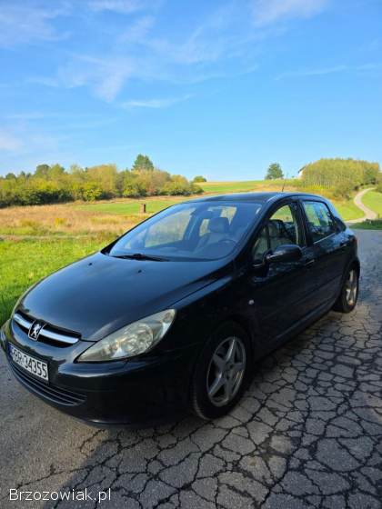 Peugeot 307 2003