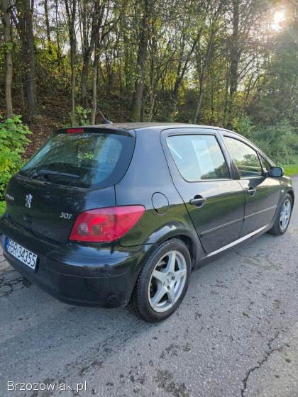 Peugeot 307 2003