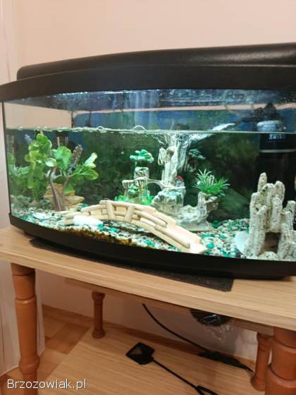 Akwarium wraz z osprzętem