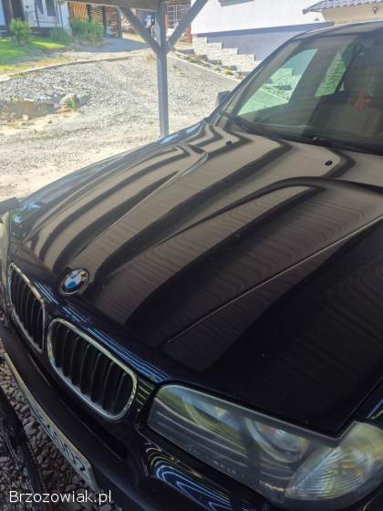 BMW X3 E83 2007