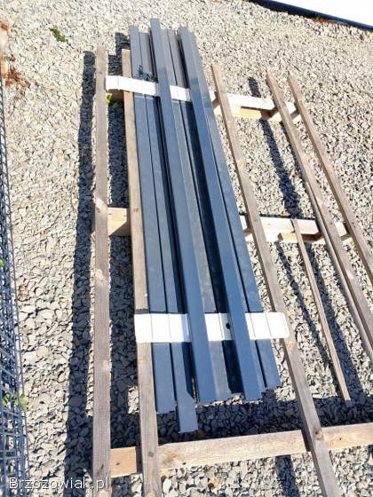 Panel ogrodzeniowy 123cm/ 250cm/ 5mm