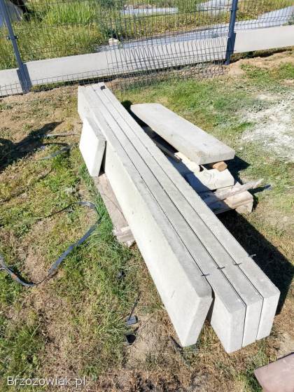Panel ogrodzeniowy 123cm/ 250cm/ 5mm