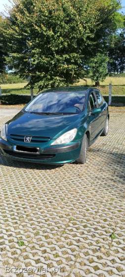 Peugeot 307 2001