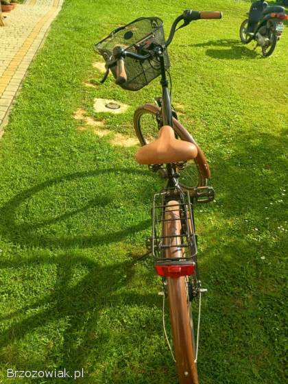 Rower Pegasus